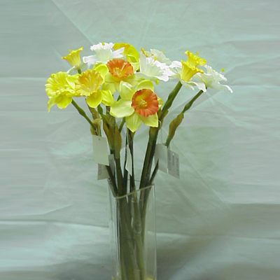 IMAGE_DESC_TAG