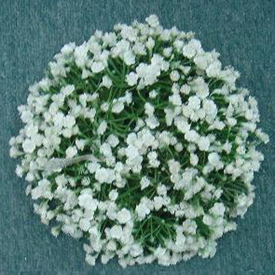 IMAGE_DESC_TAG